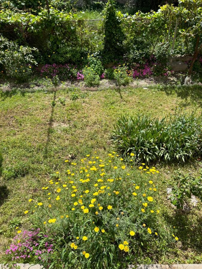 Sonya Apartamento Split