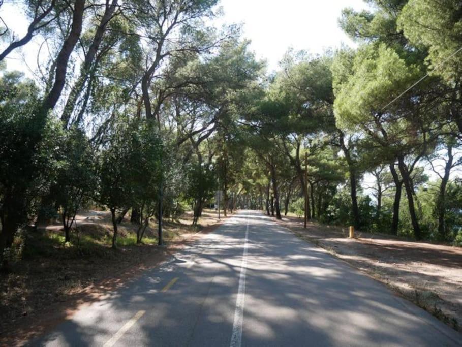 Apartment Marjan Park, Peaceful Family Place, Free Parking, 2 Minute From Beach Split