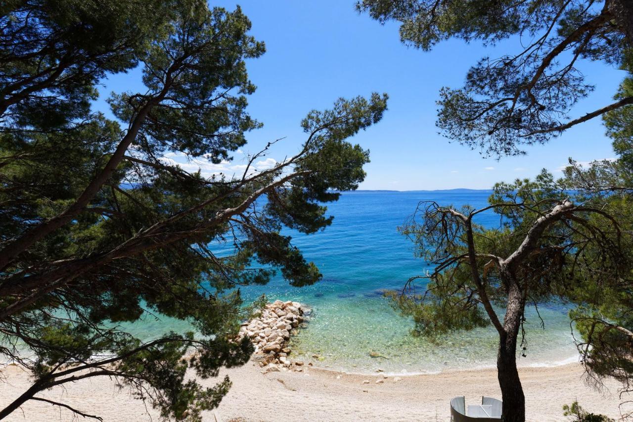 Dalmain * Split