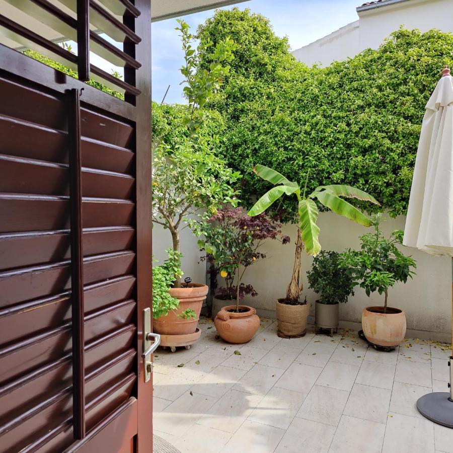 Little Backyard