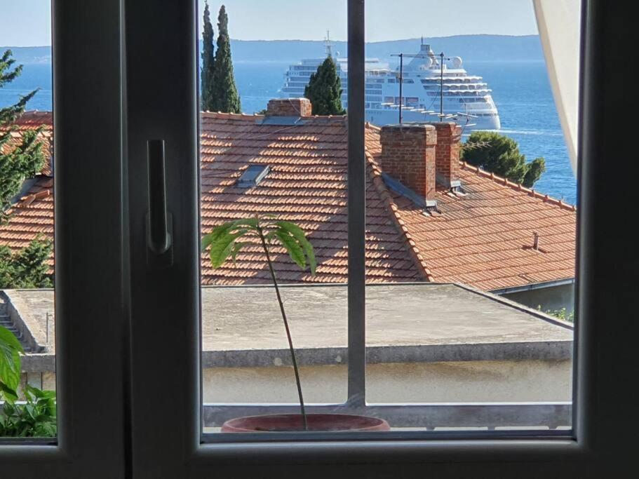 Penthouse Bacvice *