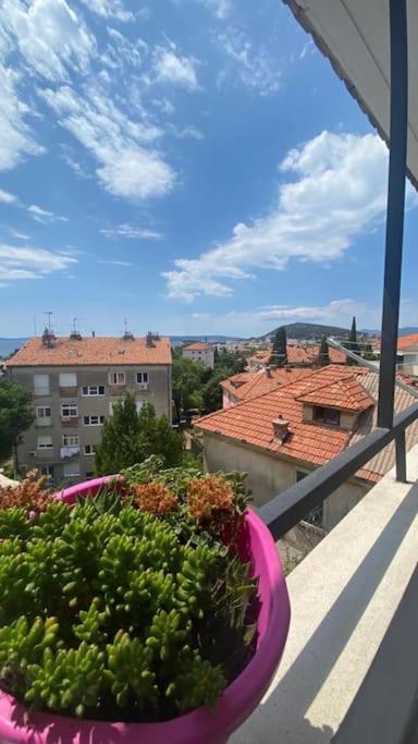 Penthouse Bacvice