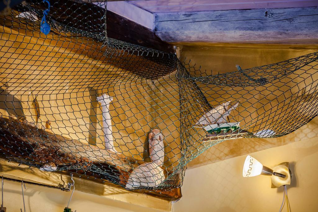 Horizon Guest house