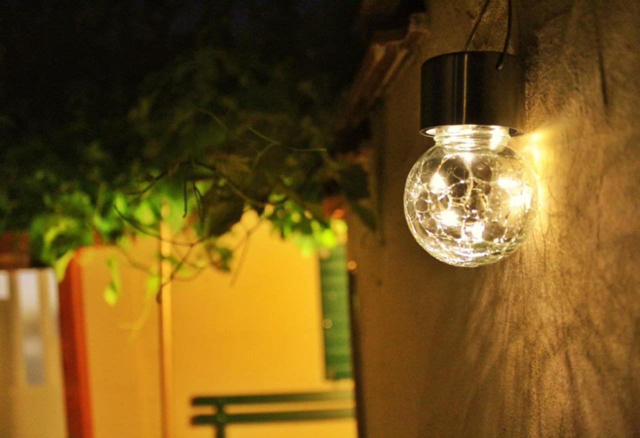 Apartman Taja, Cijela Kuca I Vrt Samo Za Vas