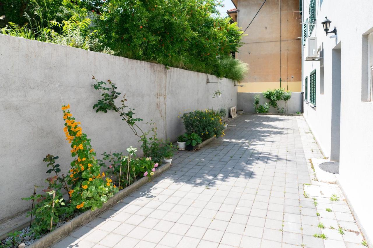 Apartman Carduelis *