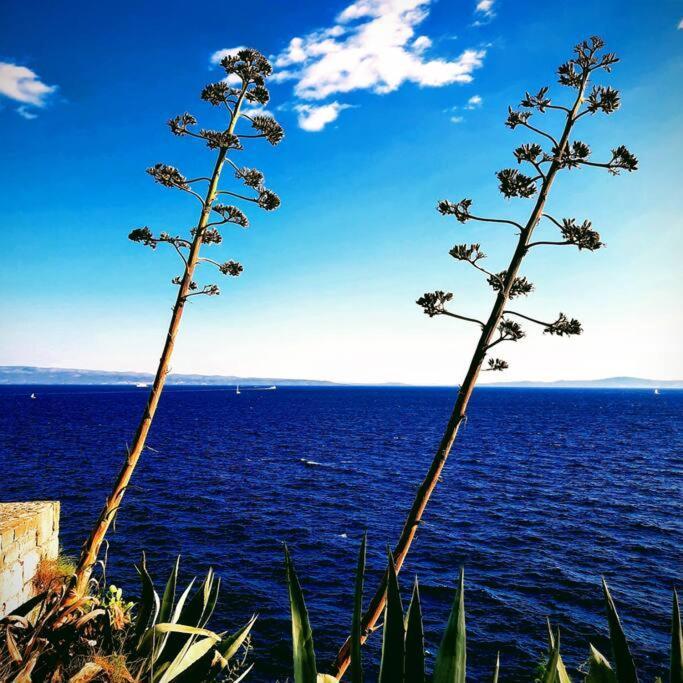 Ora, On The Sea. * Split