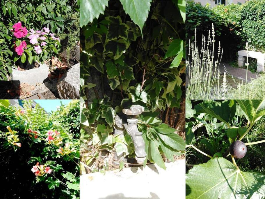 Emaus Garden - Center & 2 Bth Apartment *