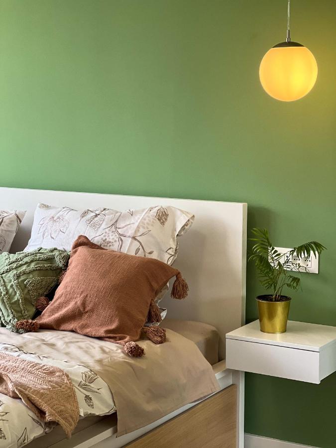 Apartment Sammy's Place - Cozy For Two With Abundant Sunlight And Natural Vibes Split
