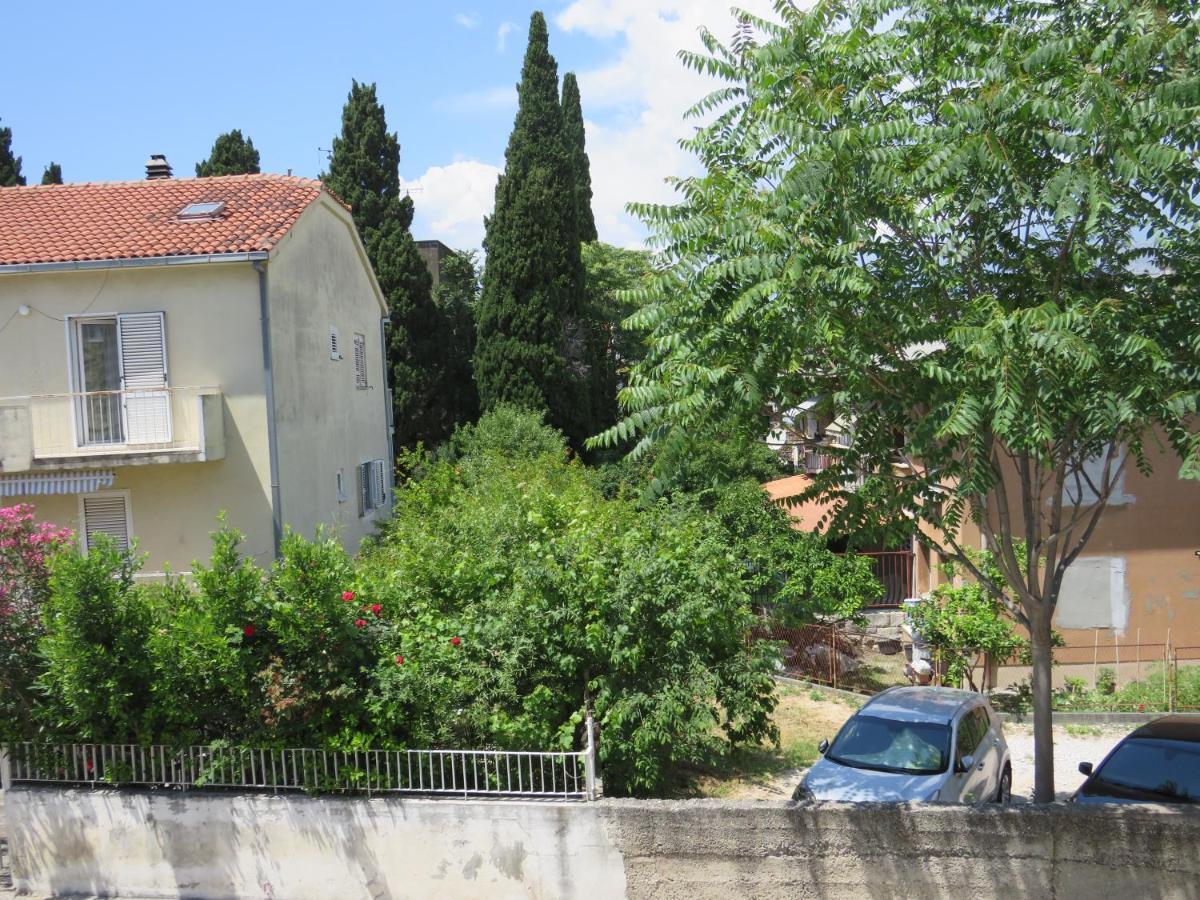Apartman Bear *