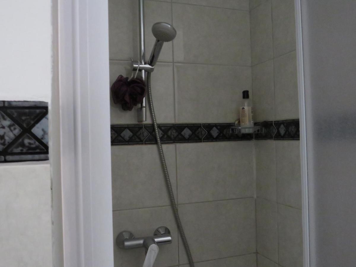 Apartman Bear Split