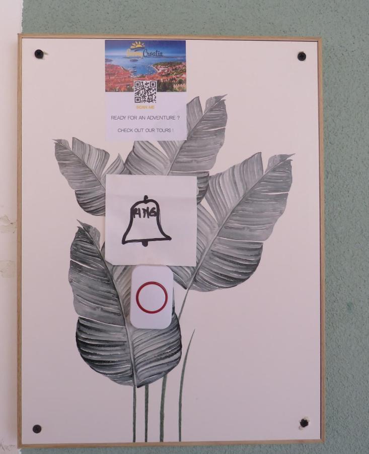 Bear Apartman Split