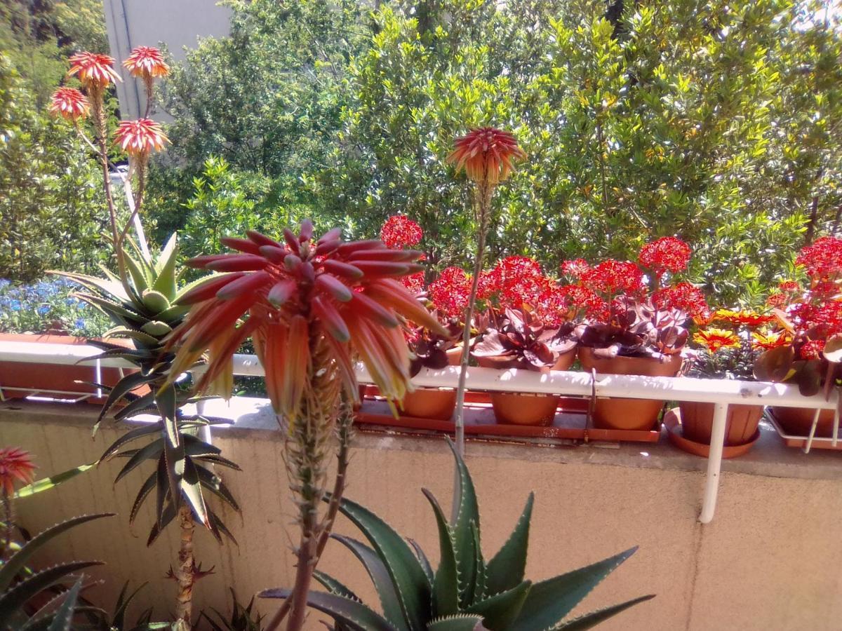 Guest house Rasputia