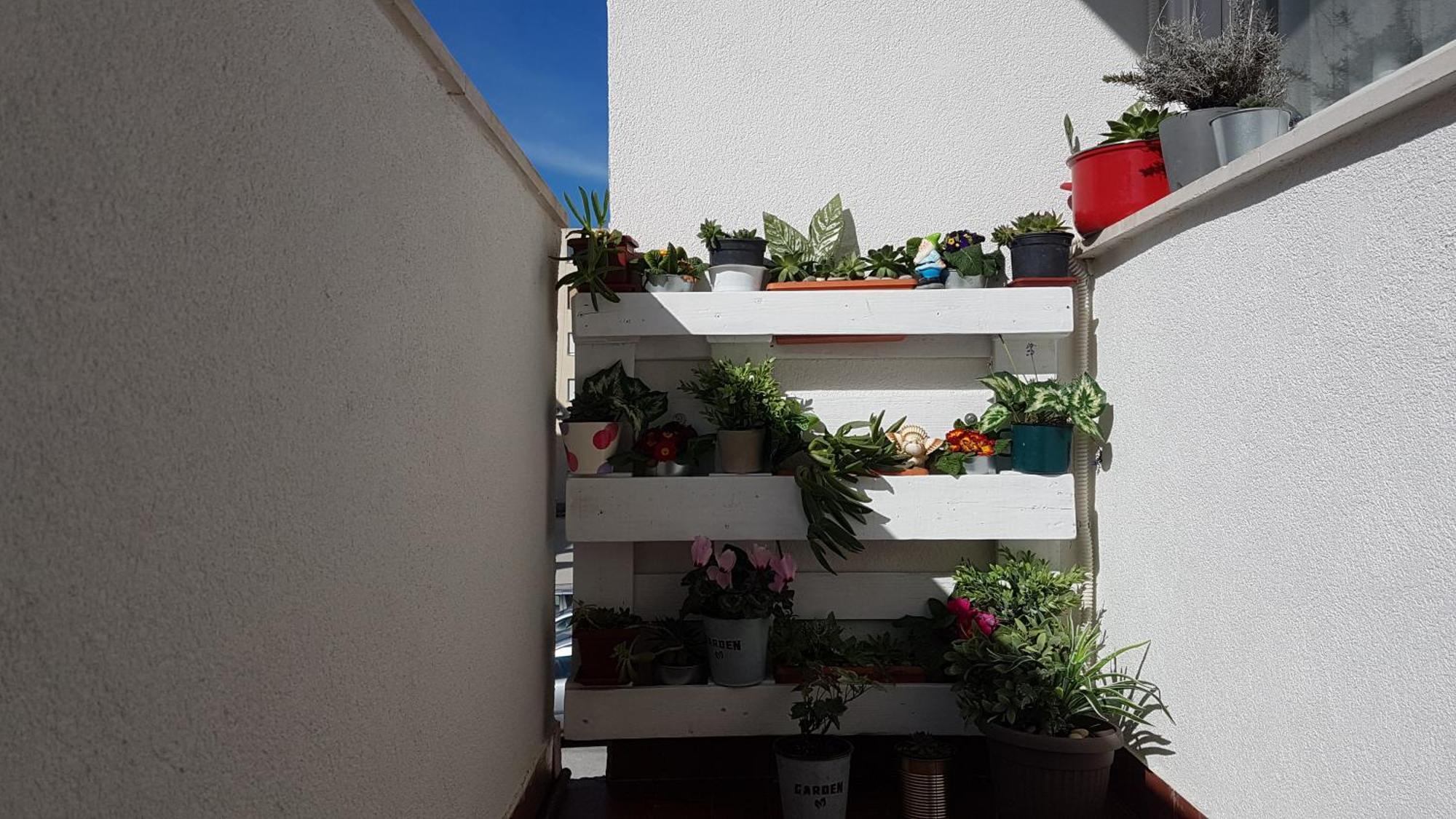 Romana With A Spacious Terrace Apartment *