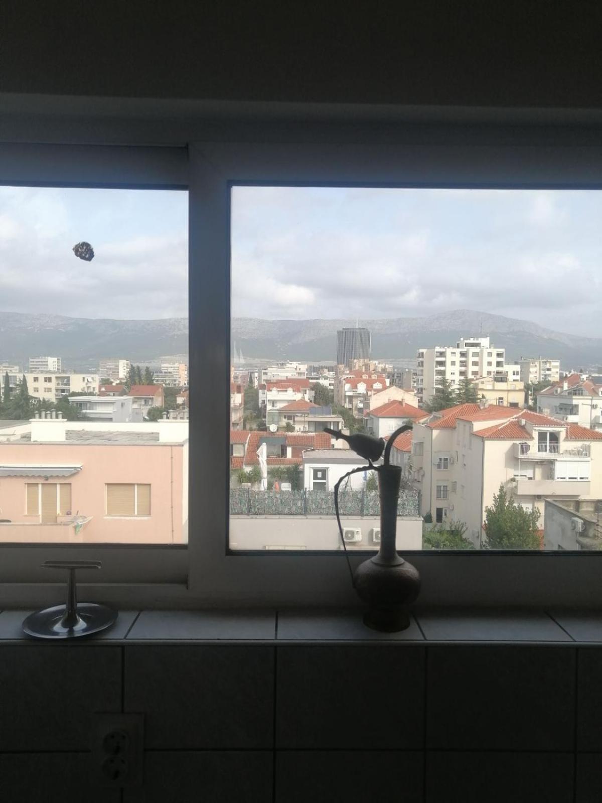 Bella Vista *