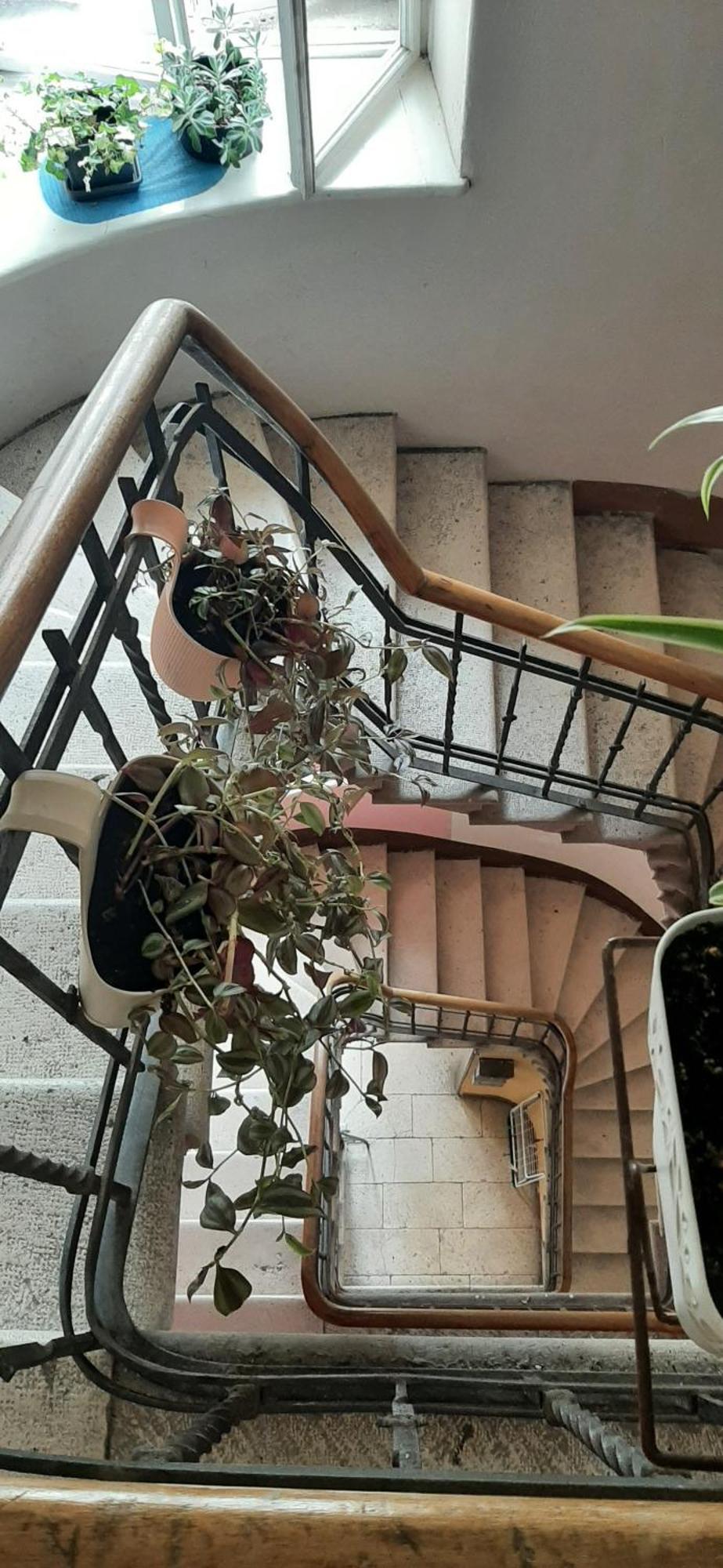 Argenta Luxury Gasthof Split