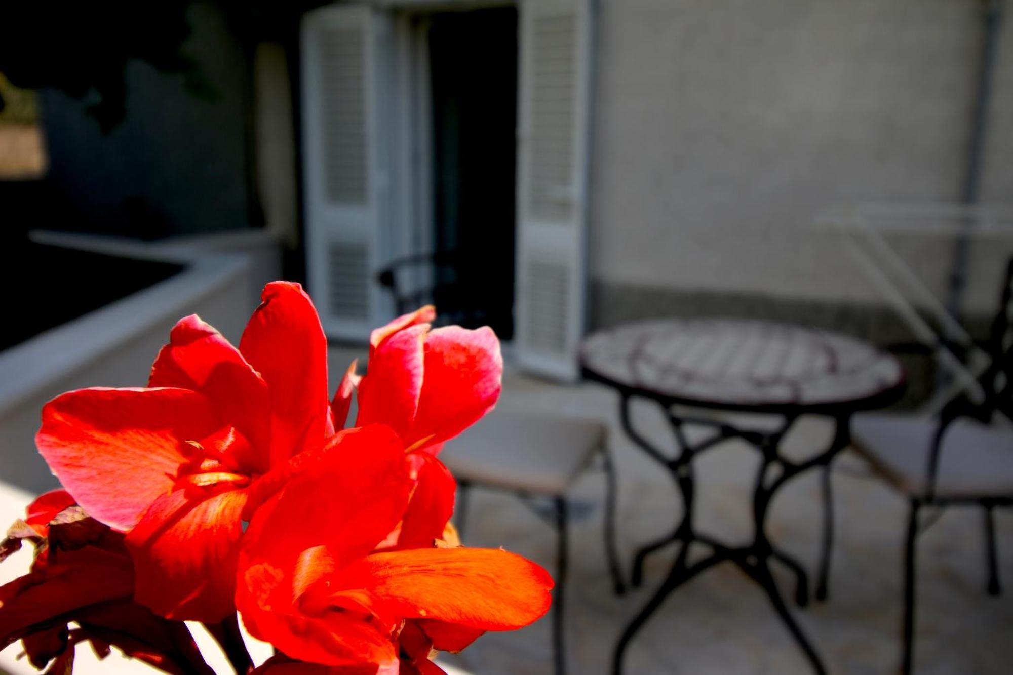 Velin Appartement