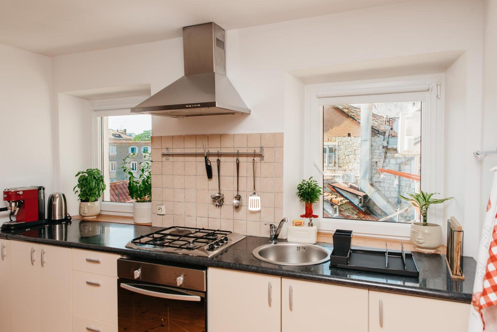 Apartment Pjaca Penthouse *