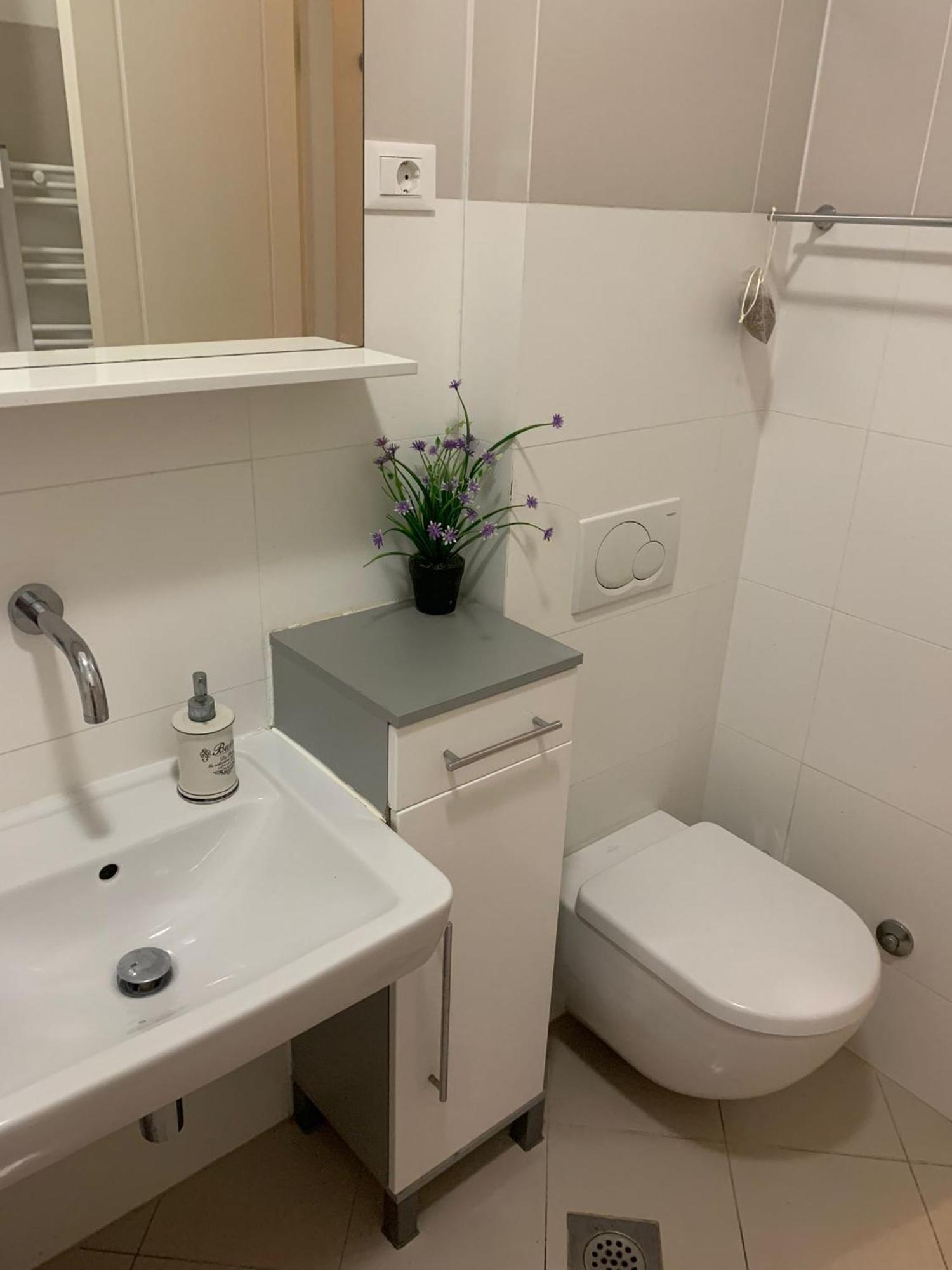 Maslina Apartment *