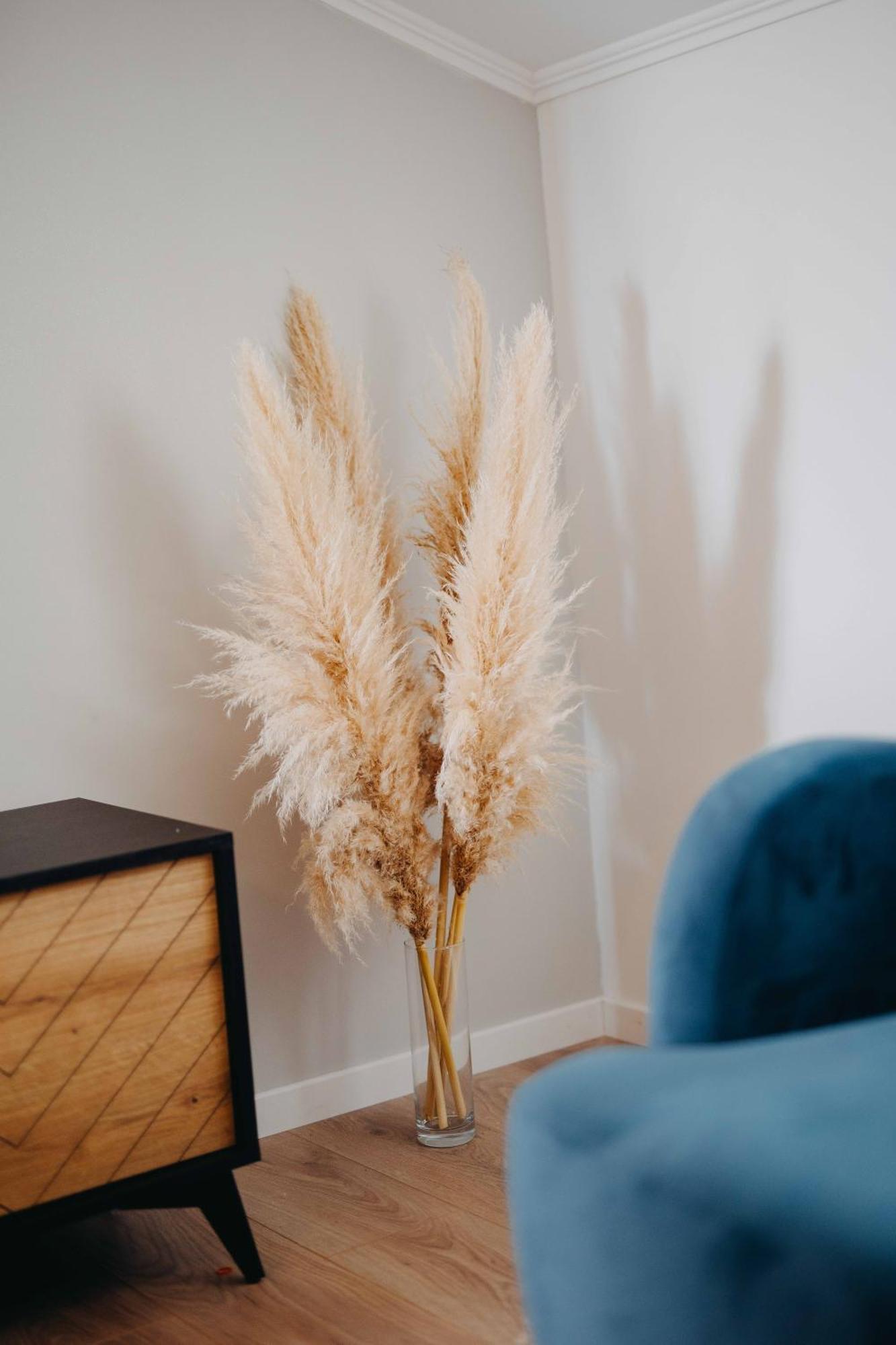Seashell Apartment Split
