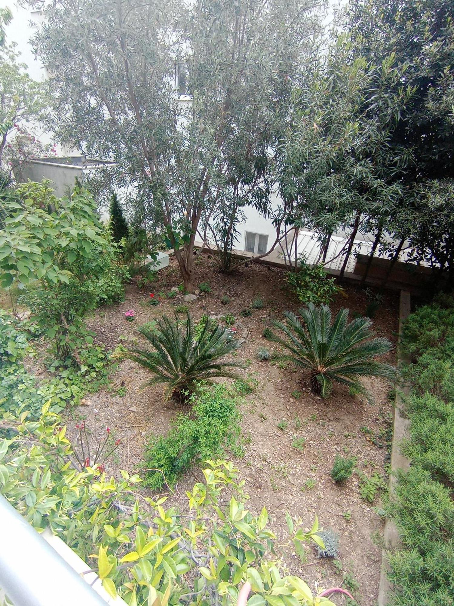 Apartment Diana Znjan
