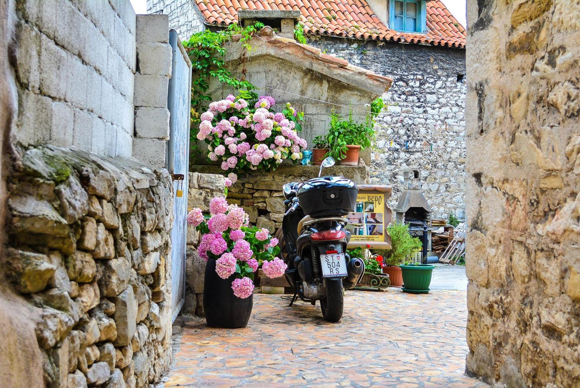 Apartment Centre Old Town *