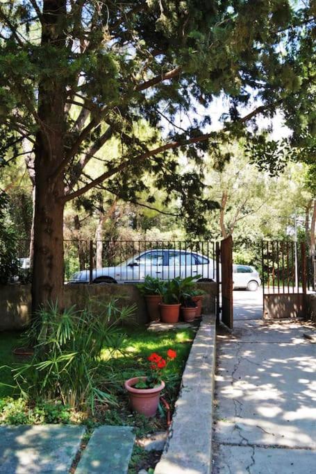 Apartamento Forest Park Nest Apartment, Near Centre, With Free Parking Split
