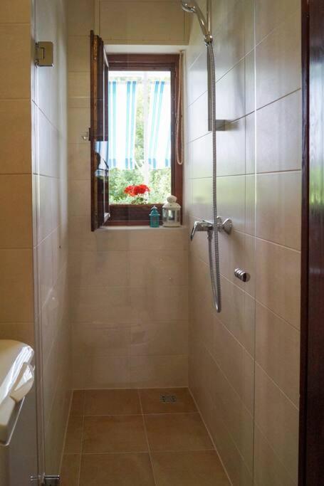 Forest Park Nest Apartment, Near Centre, With Free Parking Split