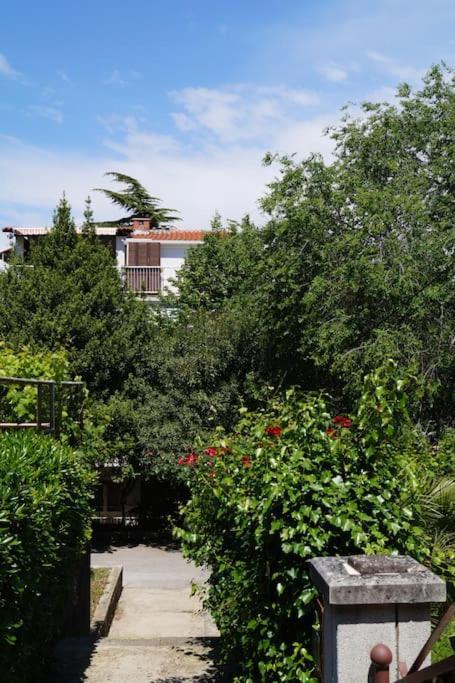 Forest Park Nest Apartment, Near Centre, With Free Parking