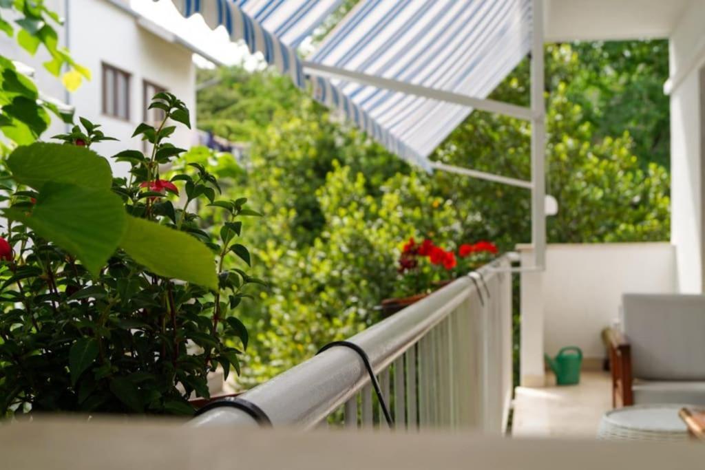 Forest Park Nest Apartment, Near Centre, With Free Parking Split