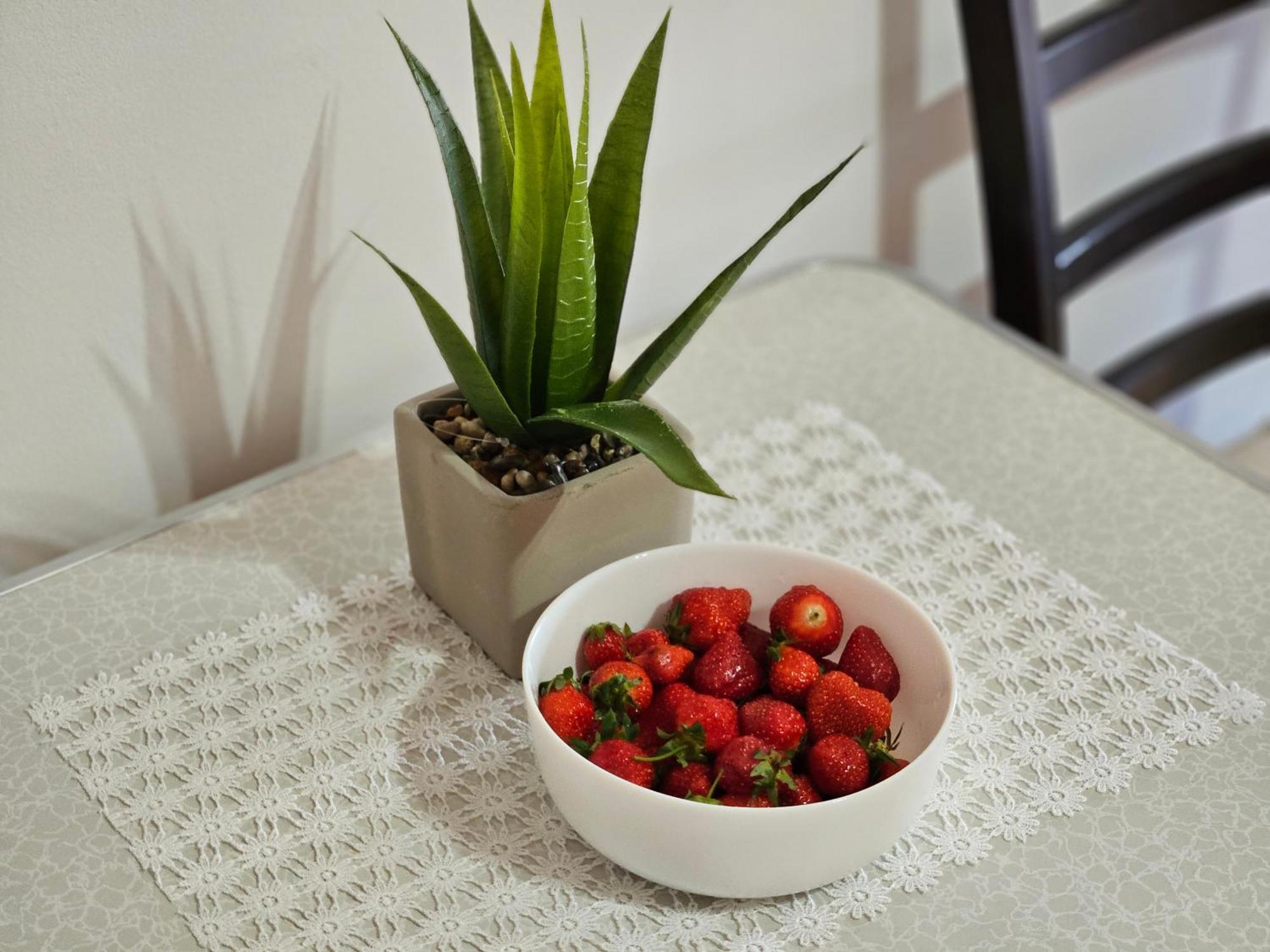 Gust House Accommodatie bij particulieren *