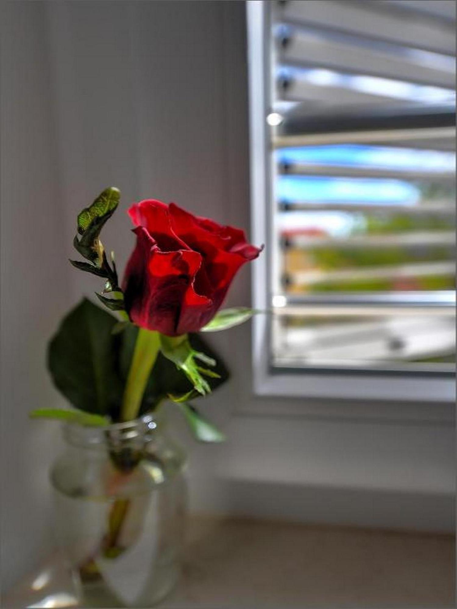 Via Porto Guest house 4*