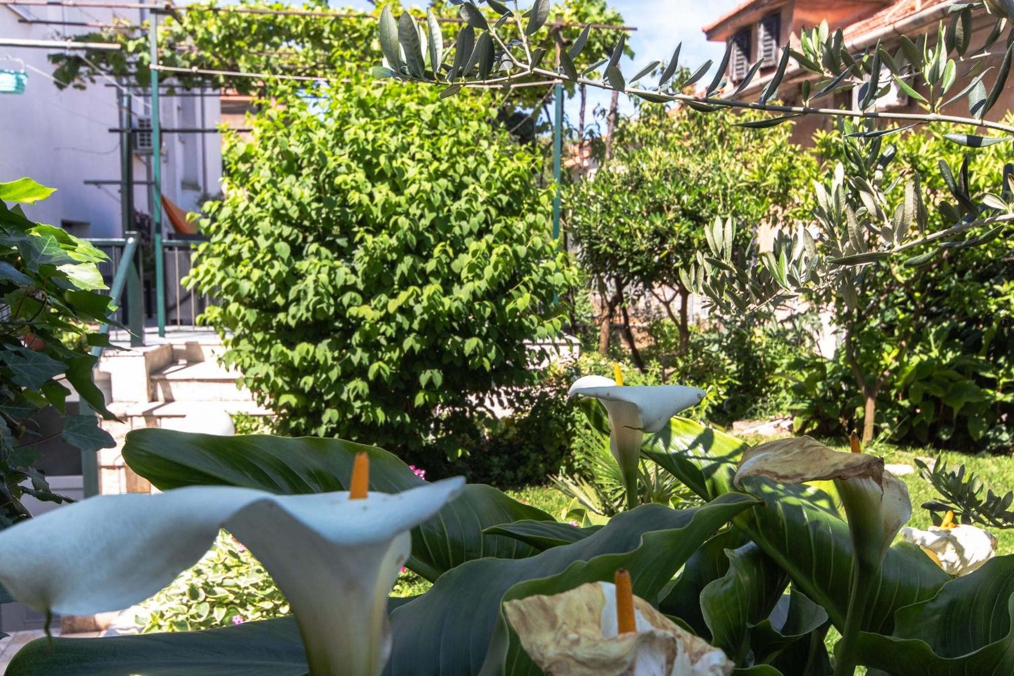 Apartment Marjan Hill 3-br Apt,5 Guests Private Garden Near