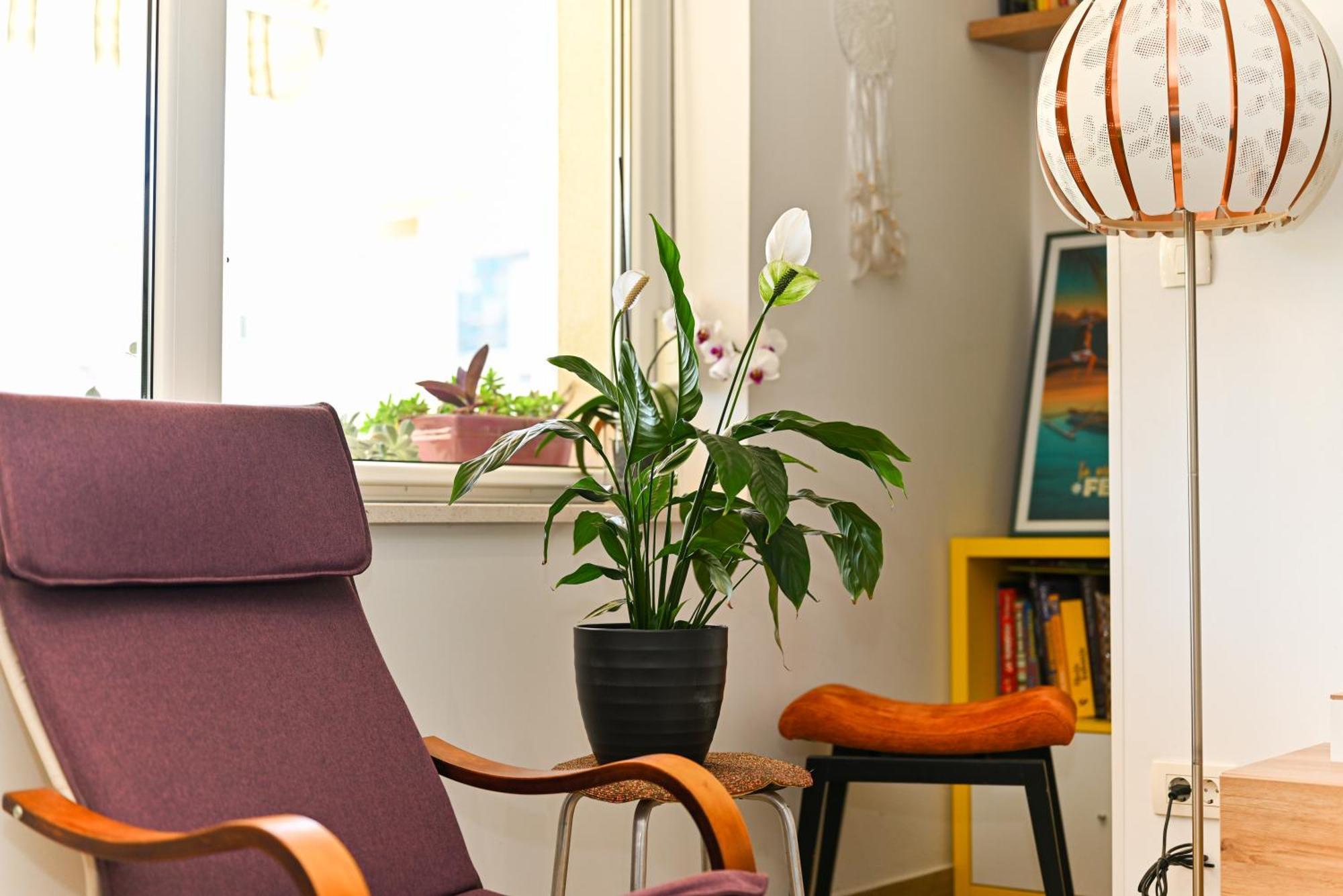 Apartman Mares *