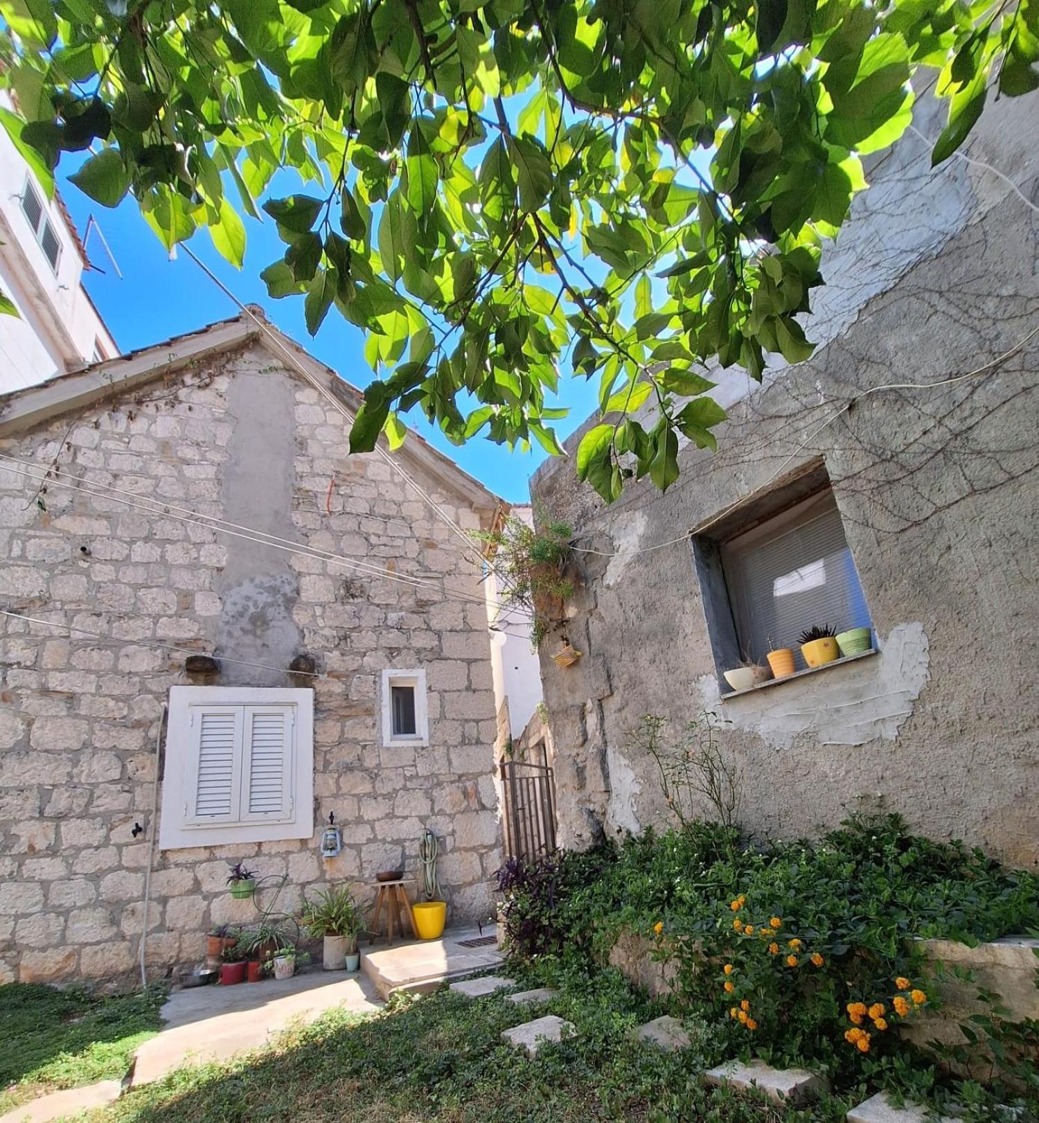 Apartment Green Oasis In The Heart Of
