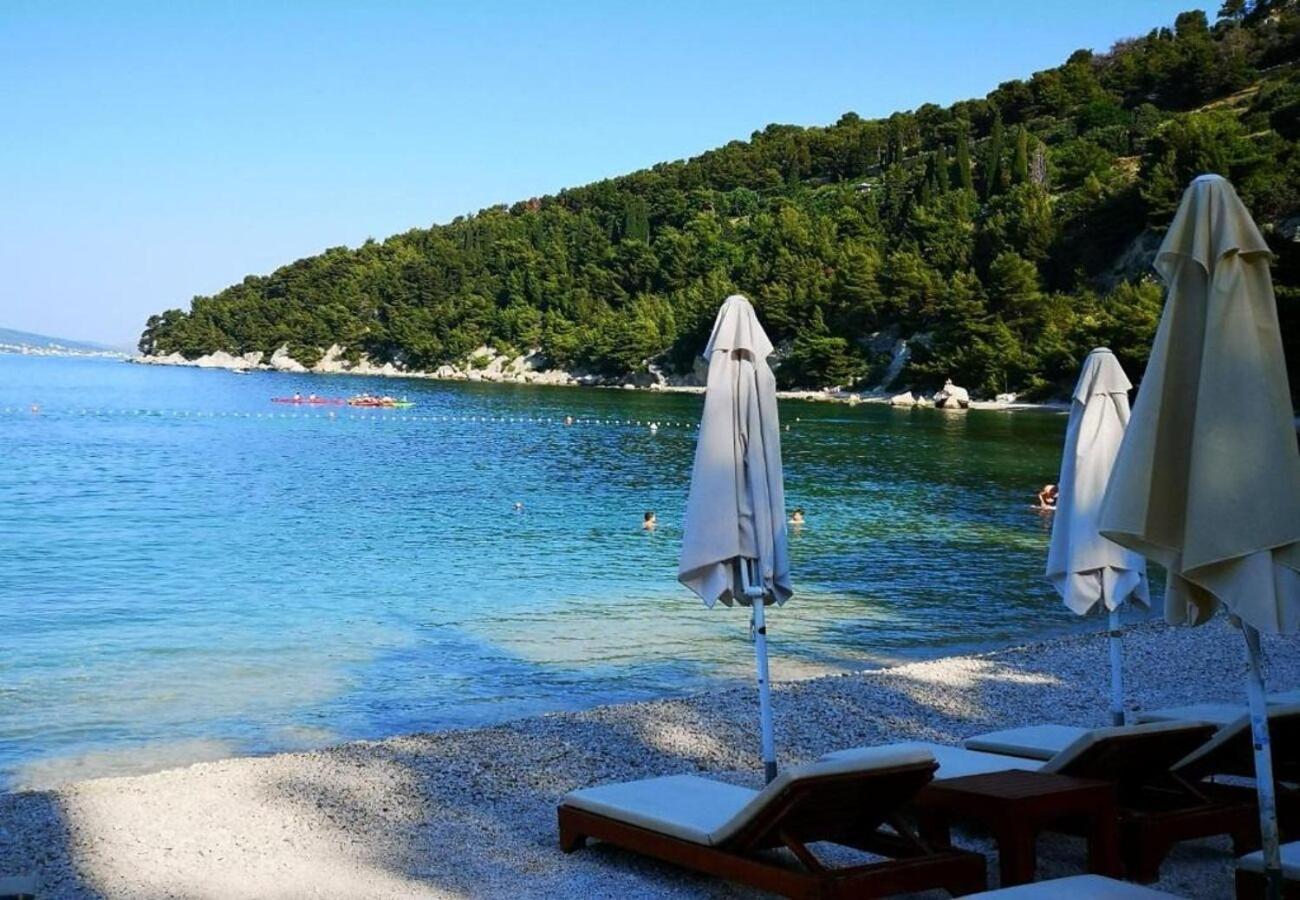 Dragi - Adults Only * Split