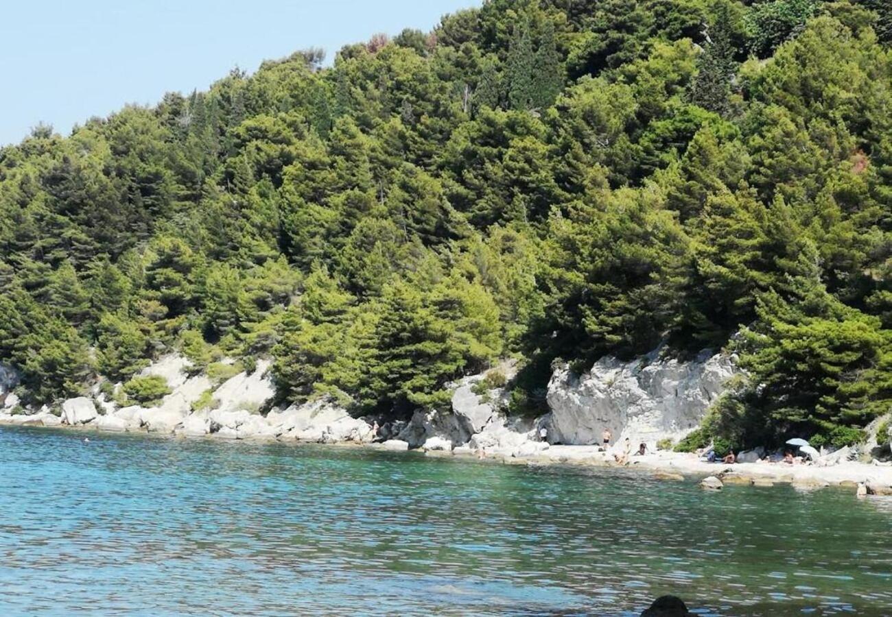 Dragi - Adults Only Appartement *