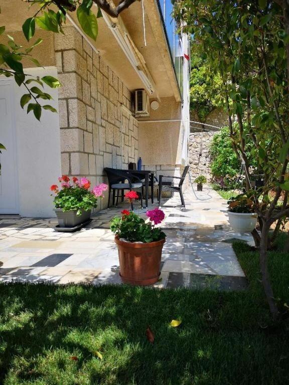 Dragi - Adults Only Split