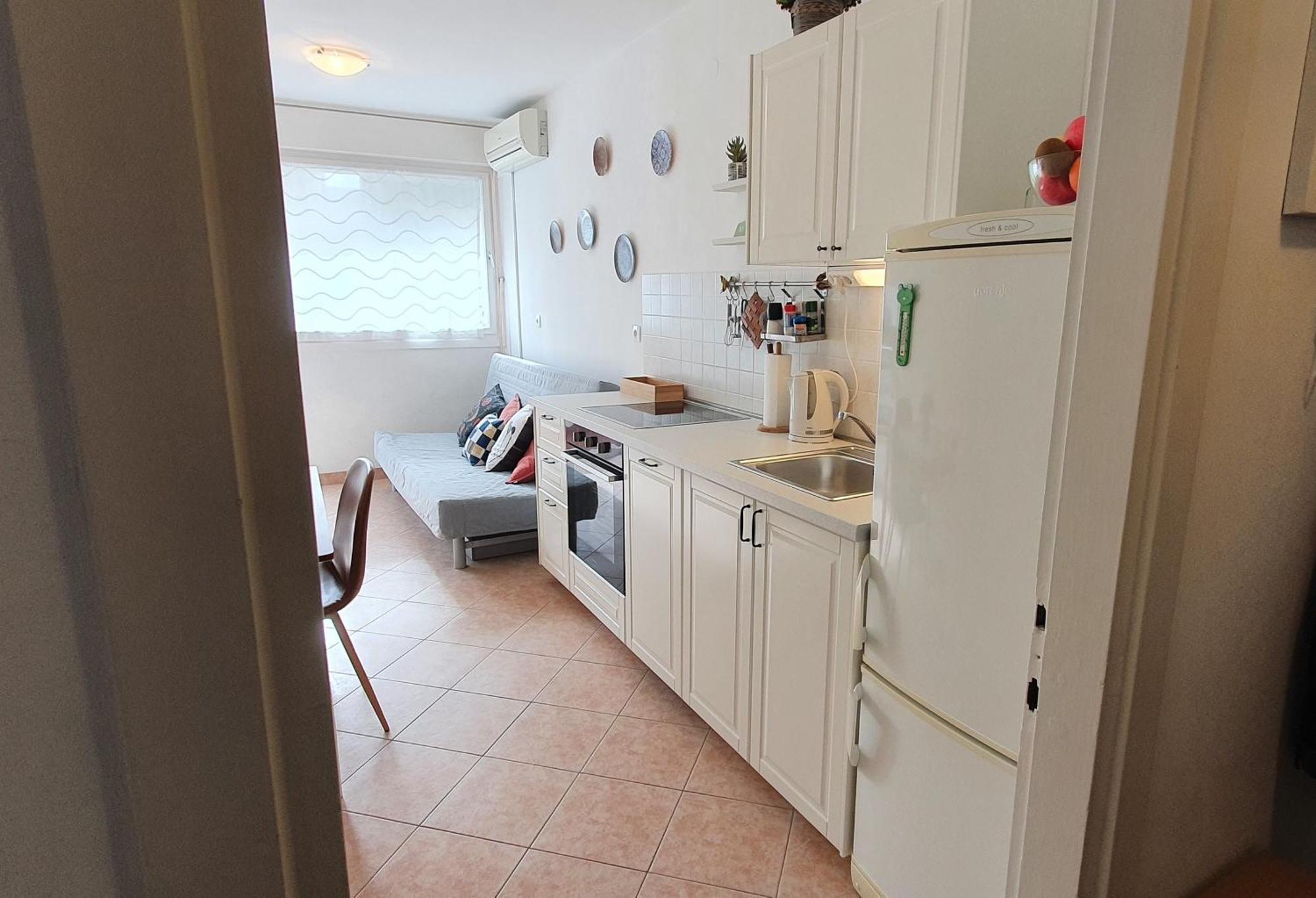 Romana With A Spacious Terrace *