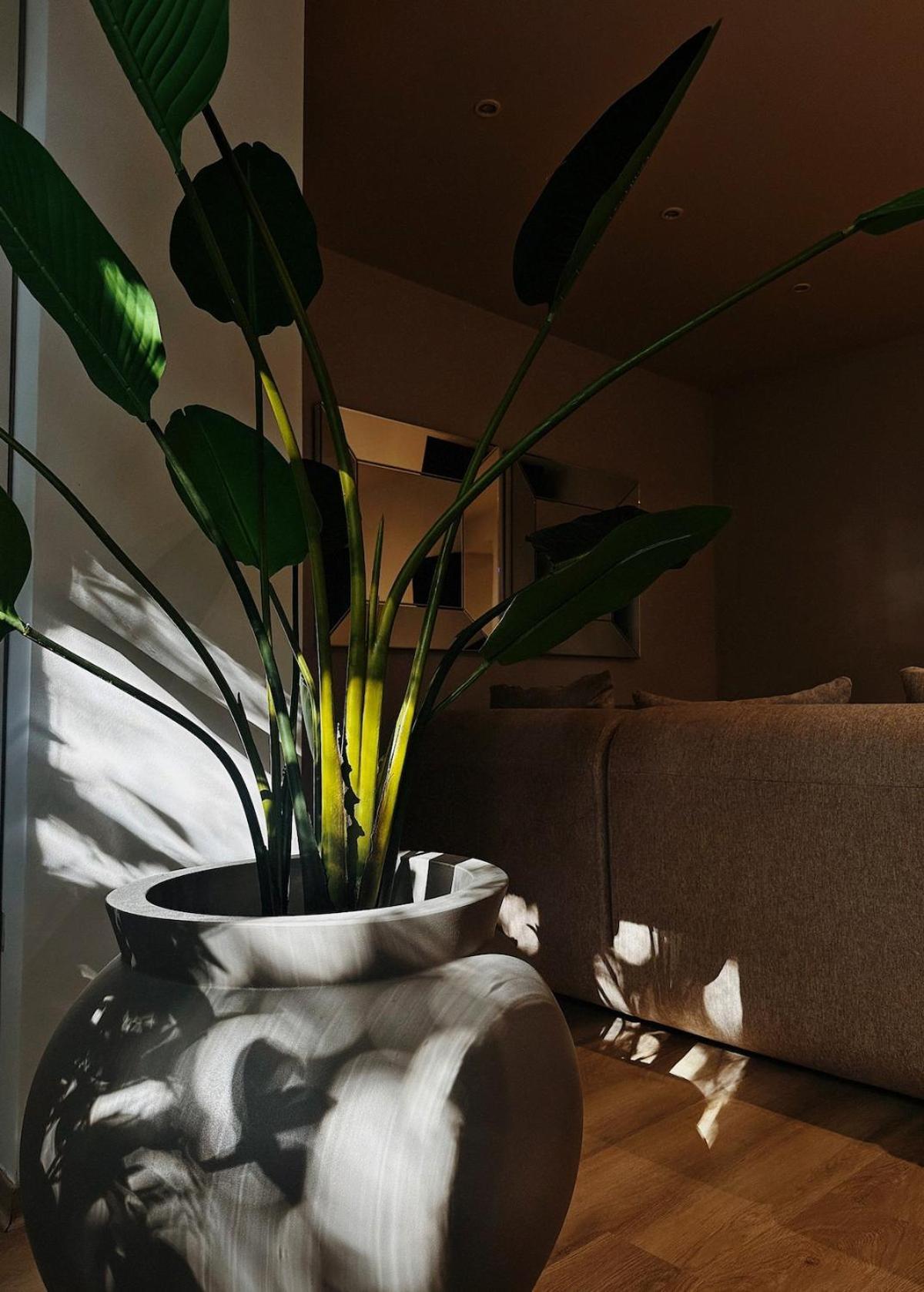 Brand New Apartment, Next To Park&beach Apartment
