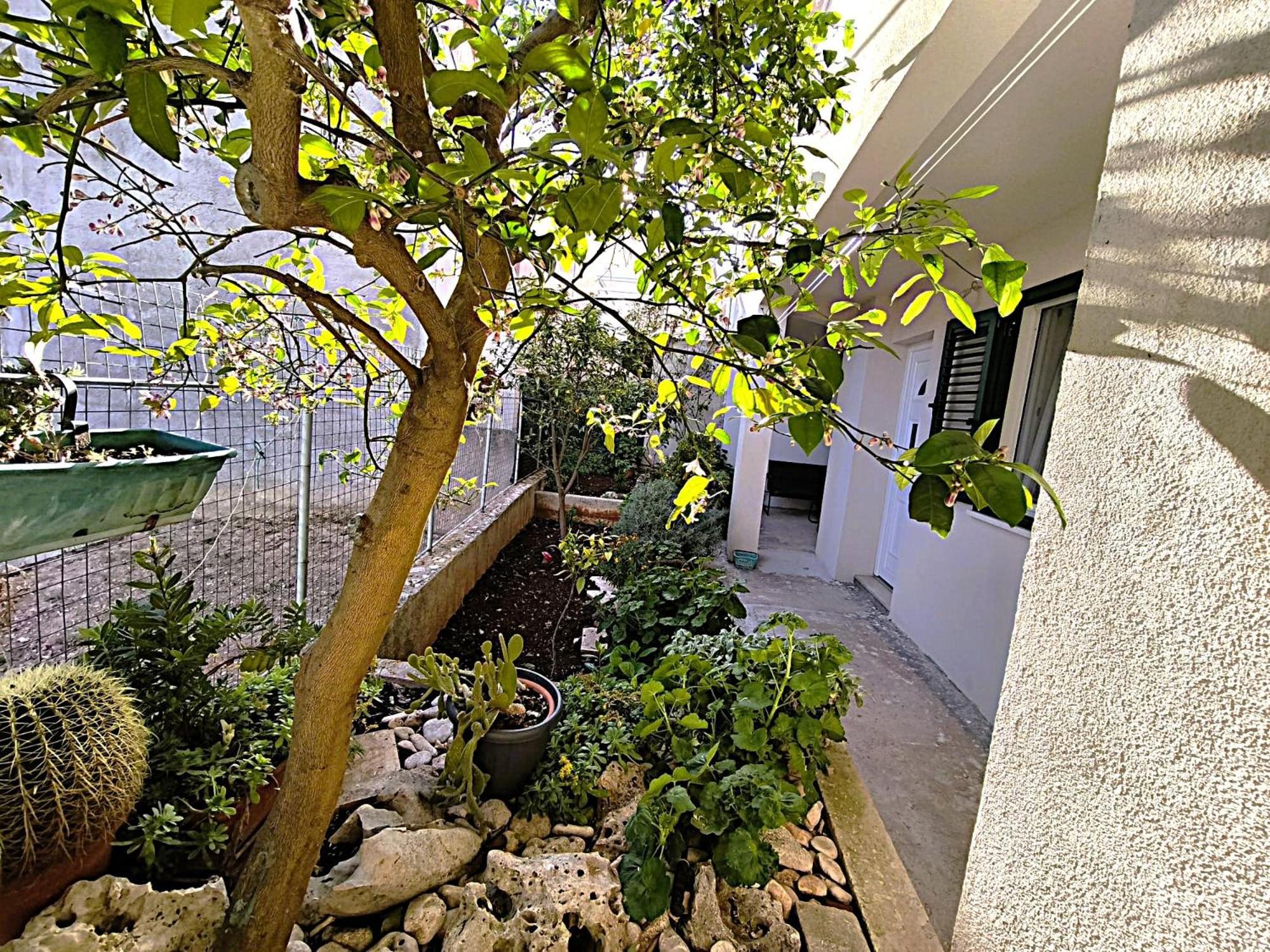 Apartment Cicibela *
