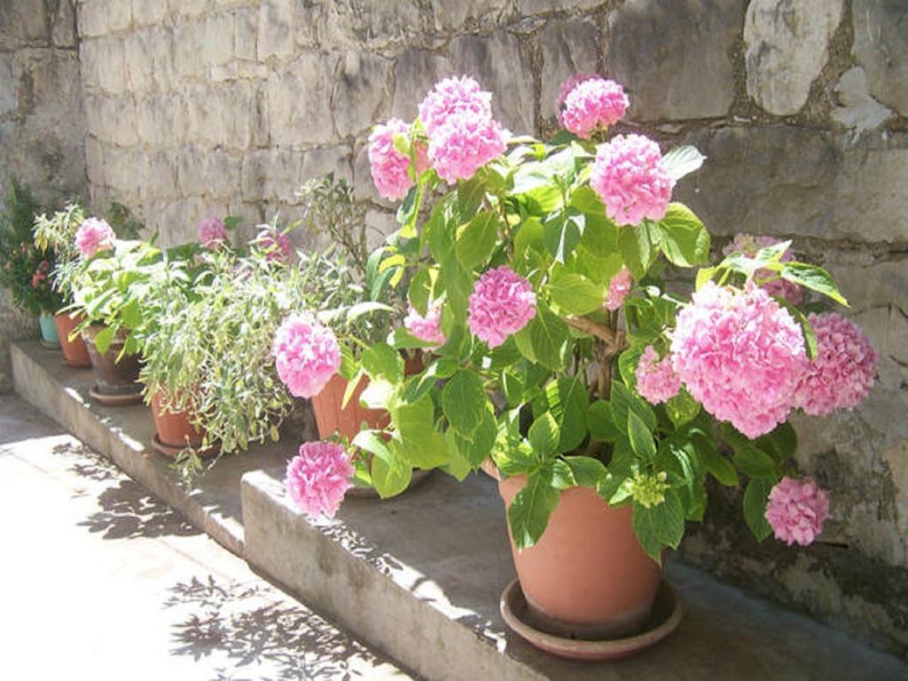 Josip Appartement Split