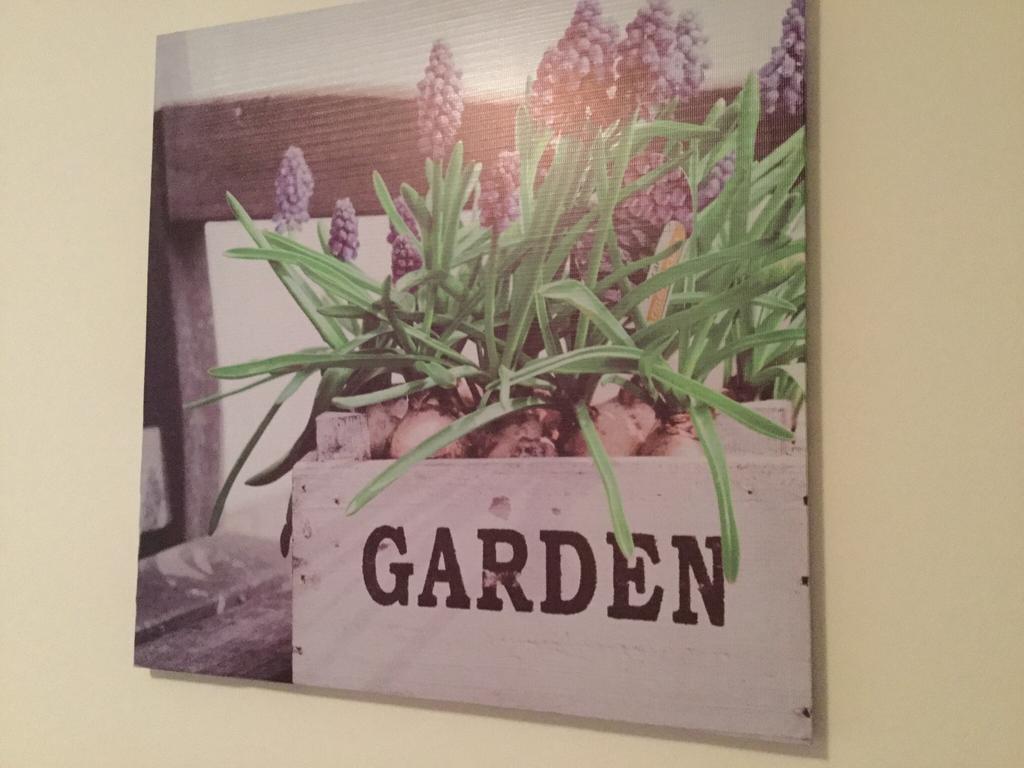 Apartman Andelina