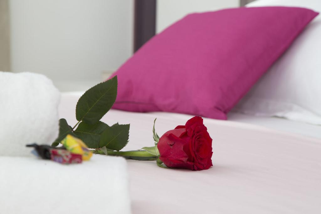 Apartamento Ema Split
