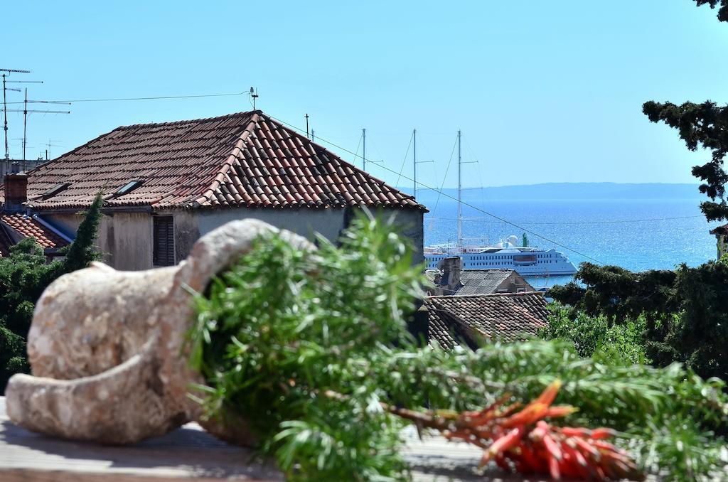 Rozmaric *