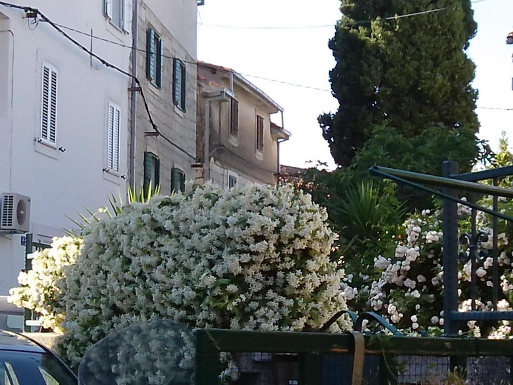 Panorama Split