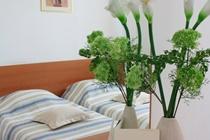 Hotel Dujam 3*
