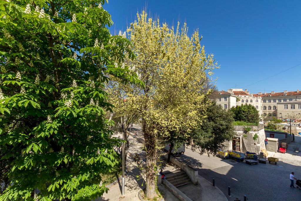 Casa de hóspedes Pellegrini Luxury 4*
