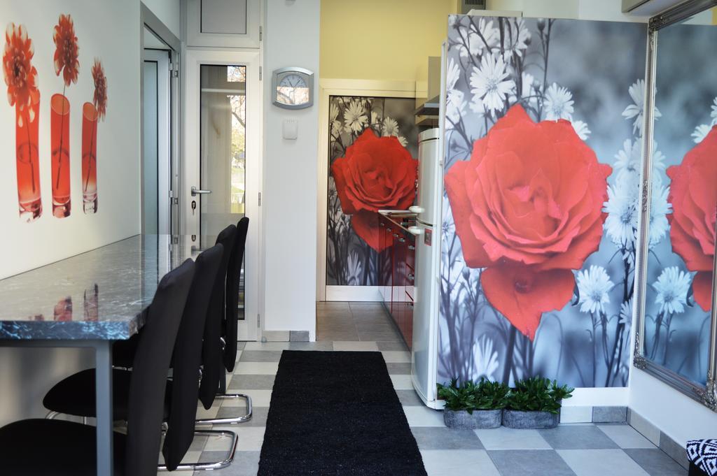 Apartment Studio Two Roses *