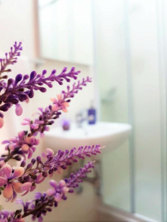 Ivana With Private Bathroom - Center Of Gasthof