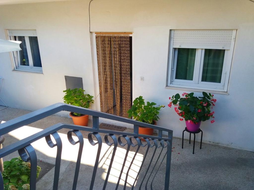 Olive Tree Apartment